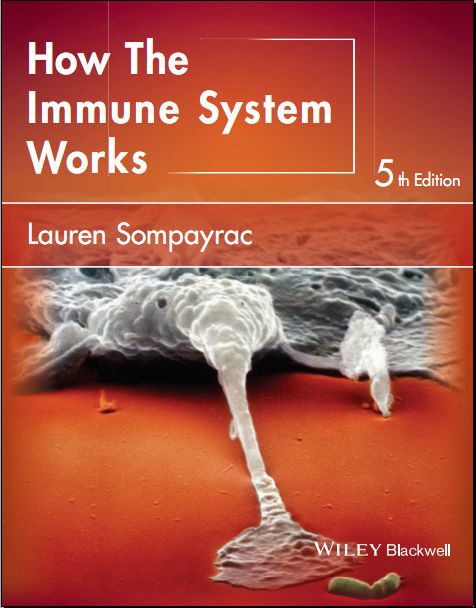 basic immunology abbas 5th edition pdf free download