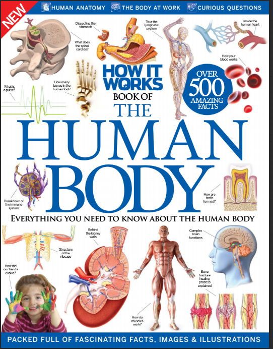 last anatomy book pdf
