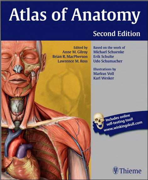 anatomy for the artist jeno barcsay pdf reader