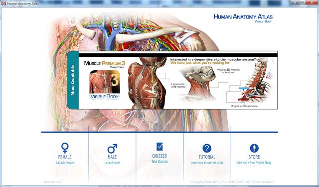 human anatomy atlas 7.4.01 serial number