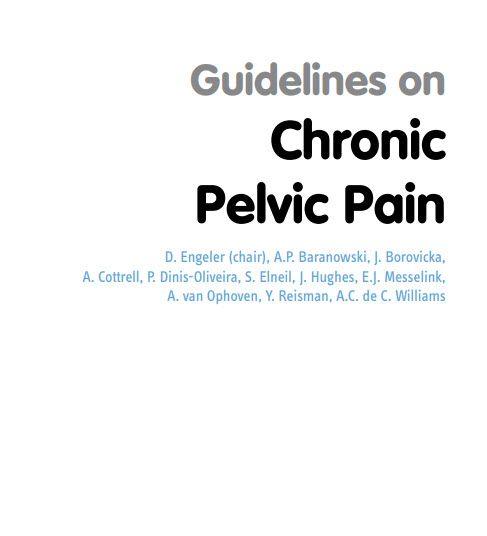 Guidelines on Chronic Pelvic Pain
